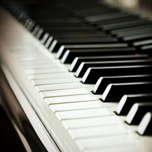 中国黄色一级毛片
