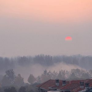 中国黄色一级毛片
